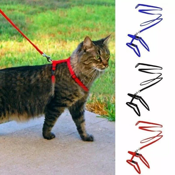 Cat Lead Leash Carousel 3