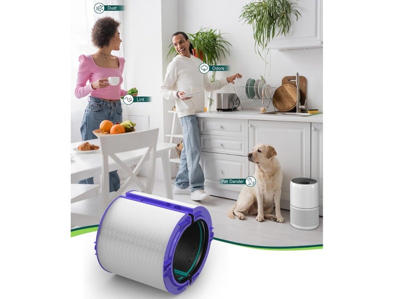 Replacement Hepa+Carbon Filter Compatible Dyson Carousel 10