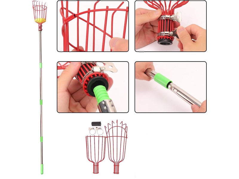 Fruit Picker New Carousel 6