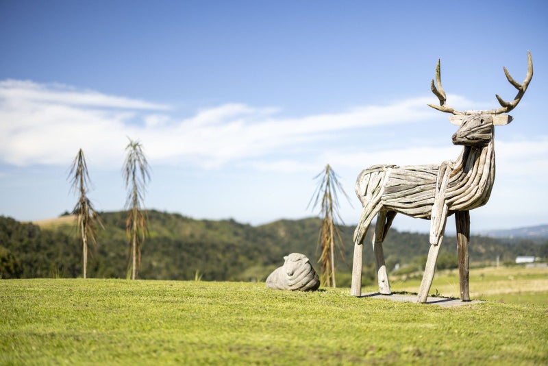 gallery carousel 34