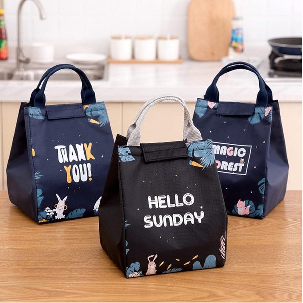 Insulated Thermal Lunch Box Carry Tote Picnic Case Storage Bag 18X24x15cm E01 (1 Carousel 2