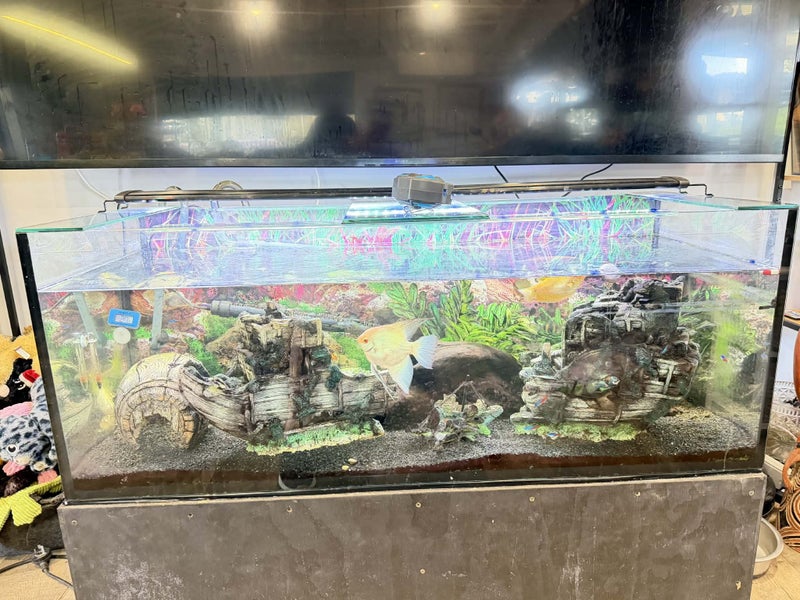 Tropical Aquarium - full setup Carousel 1