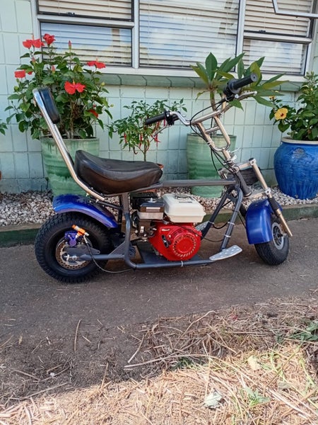 Cool custom made mini bike Carousel 6