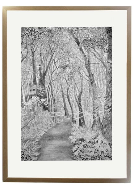 'Pathways' 5, Pencil. 73x54cm Framed Carousel 1