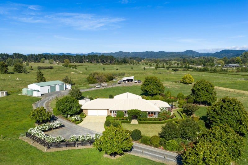 Image 1 of 50