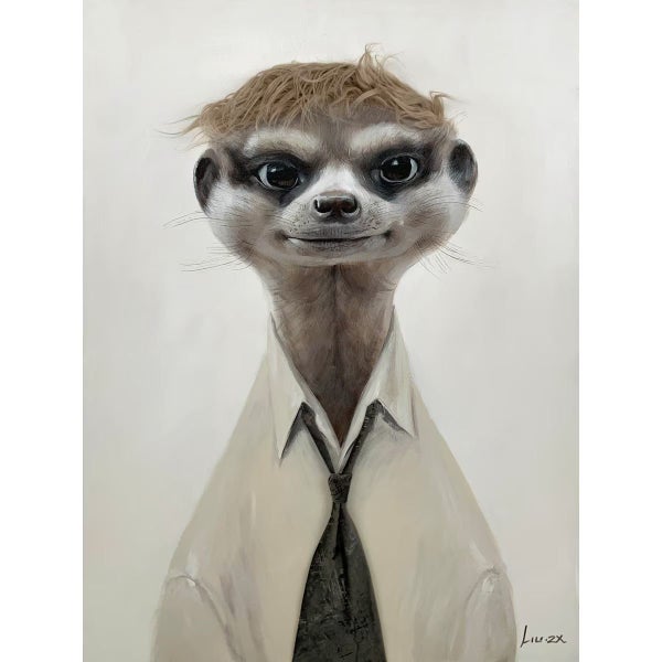 Bad Hair Day - Meerkat Canvas Carousel 1
