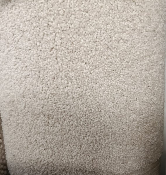 100% NZ Wool carpet offcut | 190 x 184cm Carousel 1