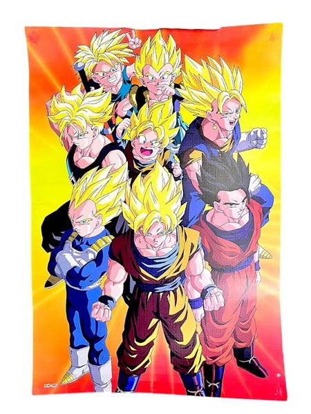 Dragon Ball Z Group Poster Carousel 1