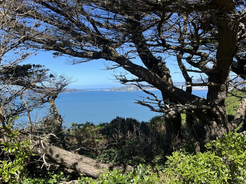 Image 3 of 9