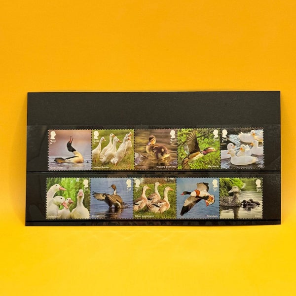 Royal Mail Ducks Wildlife Stamp Set Carousel 1