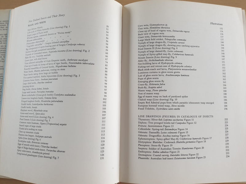 2 collectable informative books. NZ Insects. NZ Native Animals. 1971, 1954 Carousel 18