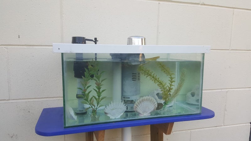 Aquarium WC Cistern Carousel 1