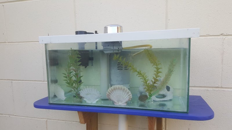 Aquarium WC Cistern Carousel 5