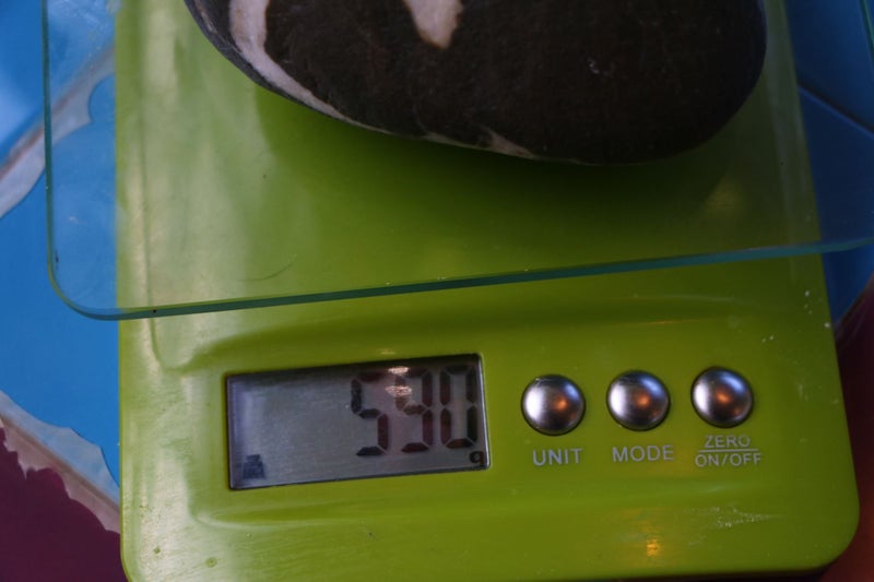 Natural pictured tree patterned rock display viewing stione collectable Carousel 6