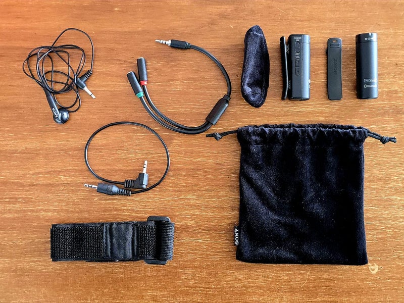 Sony A6600 plus wireless mic Carousel 19