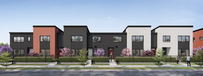 Modern Coastal Living - Stylish Terrace Home