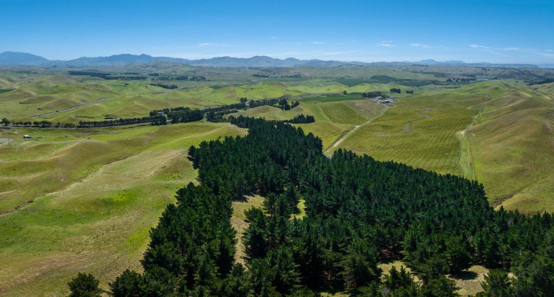 All — 4