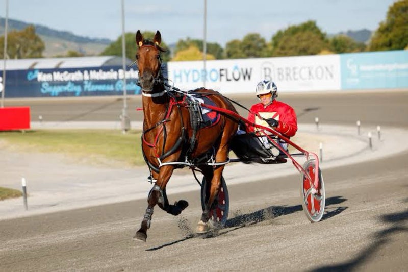 Cambridge Night of Champions Horse Race Carousel 1