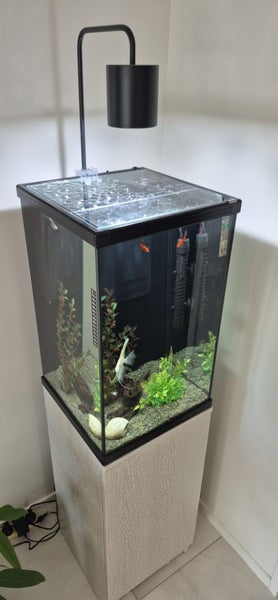 Aquarium with tropical Fish - Aqua One Dynamic 58 Carousel 1