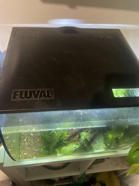 Fluval flex fish tank Carousel 2