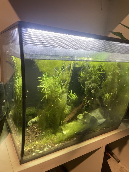 Fluval flex fish tank Carousel 3