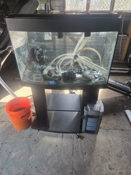 Fish tank complete setup Carousel 1