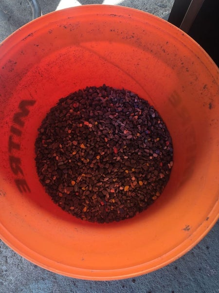 Fish tank complete setup Carousel 5