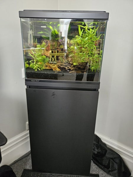 Fish tank Carousel 1