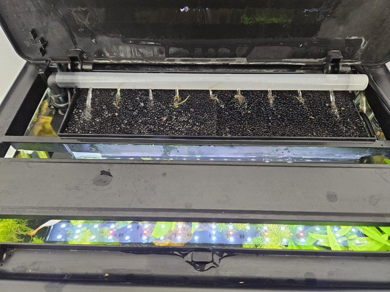 Fish tank Carousel 5