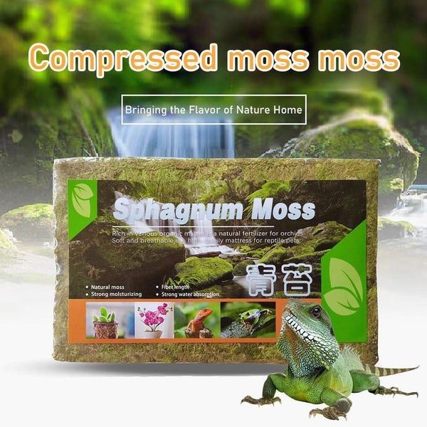 Compressed Sphagnum Moss for Potted Plant Orchid P Carousel 1