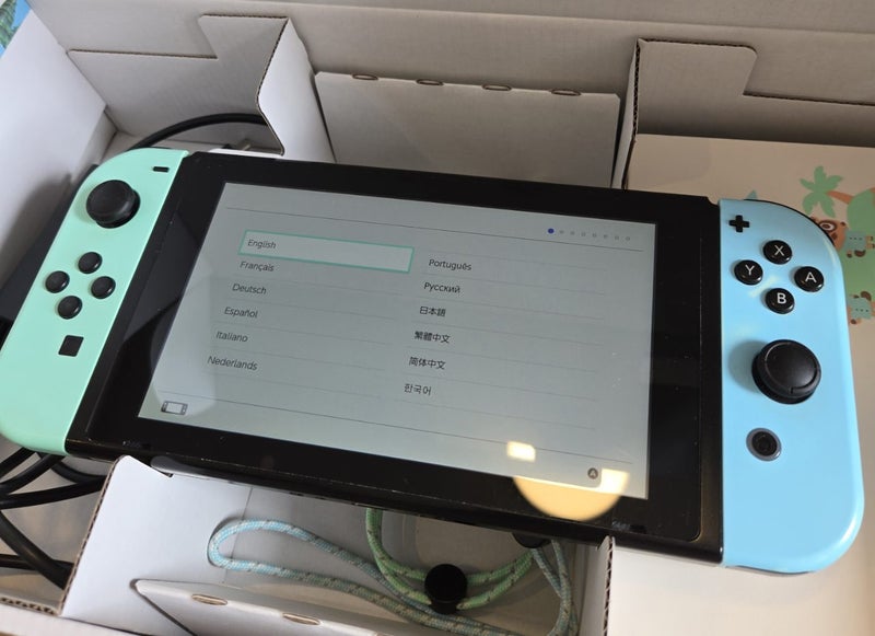 Nintendo Switch Animal Crossing Edition Carousel 2