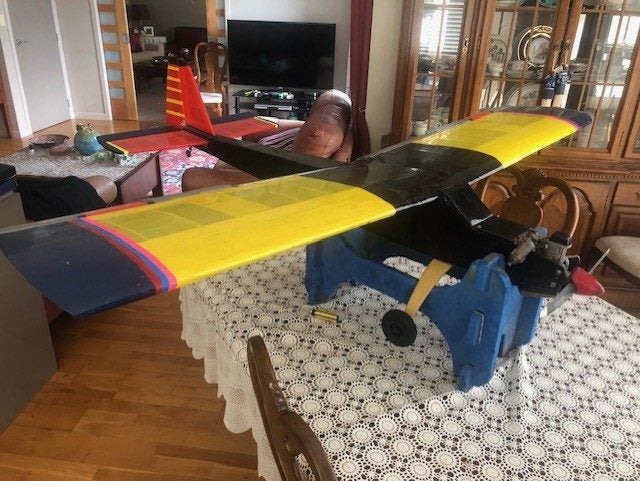 Unique High wing large plane Carousel 1