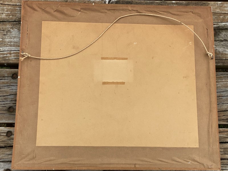 Original Whites Aviation Photograph - Mount Cook Carousel 8