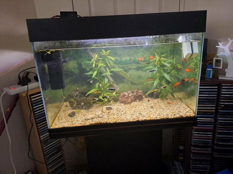 Fish Tank (selling with everything in it) Carousel 1