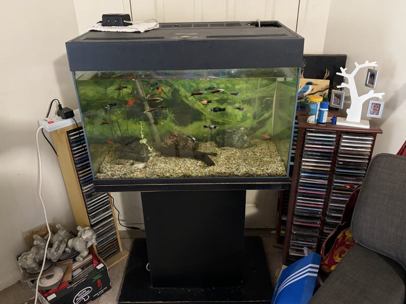 Fish Tank (selling with everything in it) Carousel 3