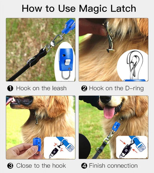 1pcs Stainless Steel Puppy Cat Collar Leash Pet Leash Magic Buckle, Leash Con Carousel 2