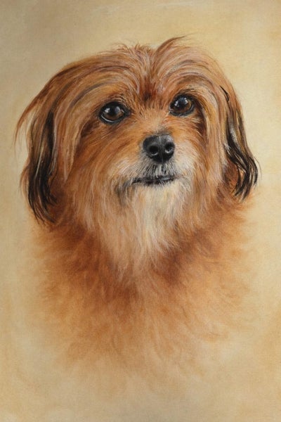 Portrait s Carousel 2