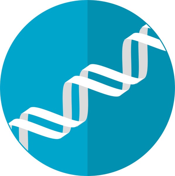 DNA Match-Maker Carousel 1