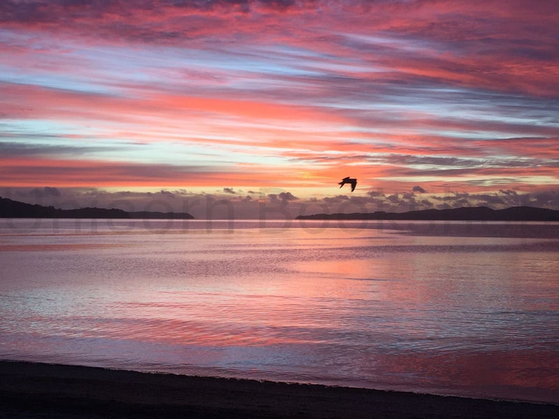 WALL PRINT: Sunrise at Snells Beach, New Zealand Carousel 1