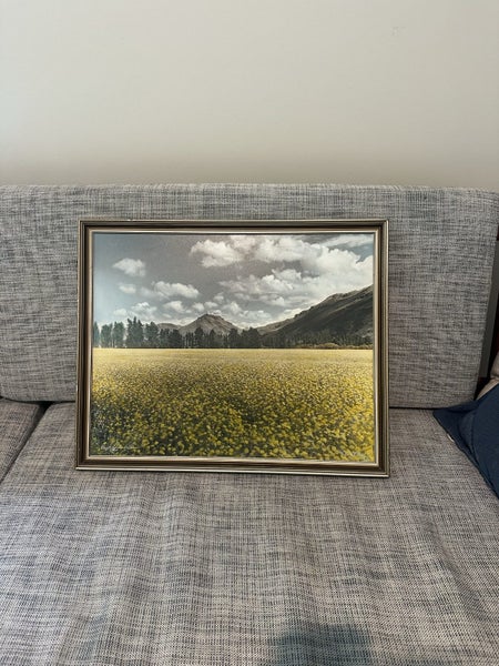 Whites Aviation: Otago Field in Flower Carousel 1