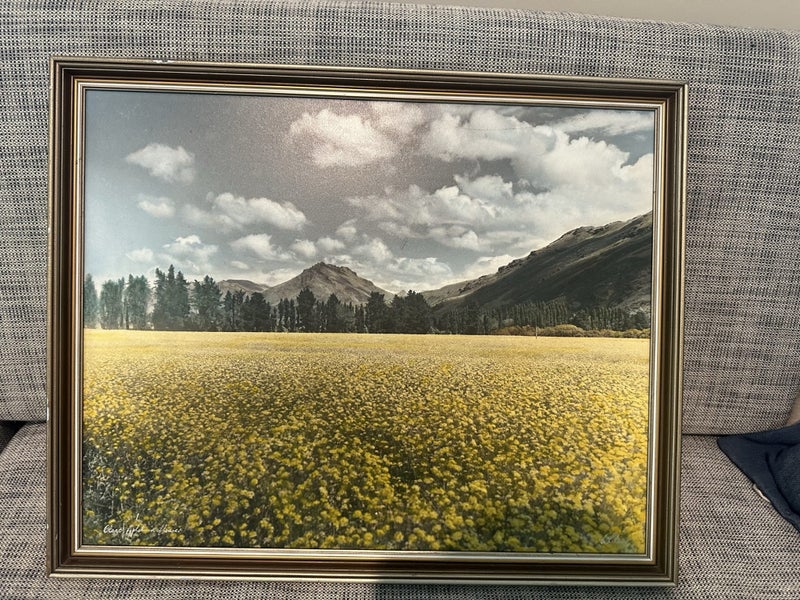 Whites Aviation: Otago Field in Flower Carousel 2