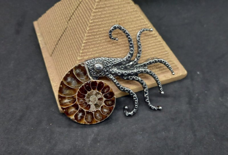 Ammonite fossil brooch, small crystal formations Carousel 5