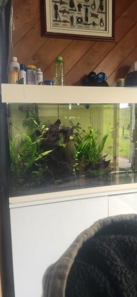 Fish tank full set up Carousel 1