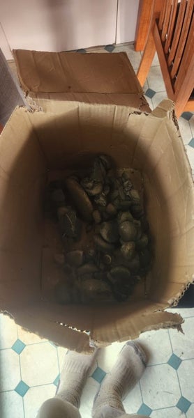 Fish tank full set up Carousel 9