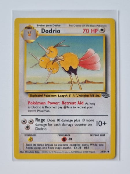 Dodrio - WoTC Jungle - 34/64 Uncommon - (NM) Carousel 1