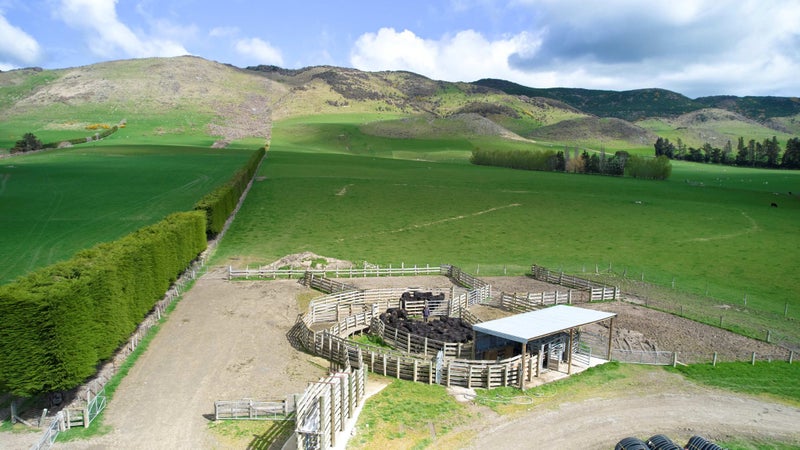 Rockley Farm Ltd Carousel 1