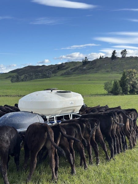 Rockley Farm Ltd Carousel 8