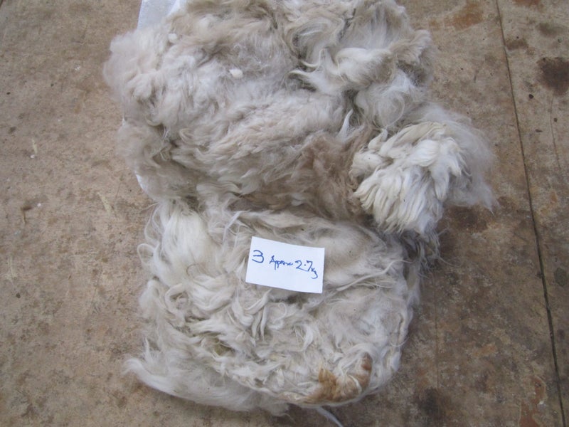 Alpaca Fleece 3 Carousel 1