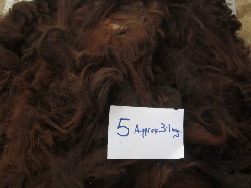 Alpaca Fleece 5 Carousel 1