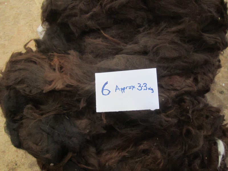 Alpaca Fleece 6 Carousel 1